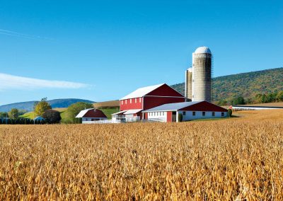 Harvest Time, Mifflin