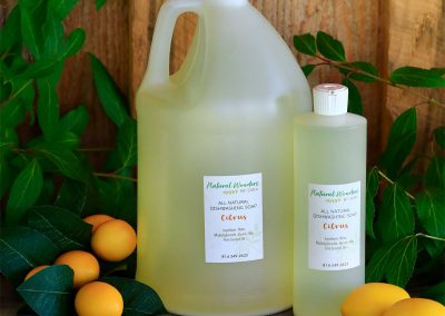 Natural Wonders by Sara - Dishwashing Soap
