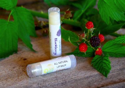 Natural Wonders by Sara - Lip Balm