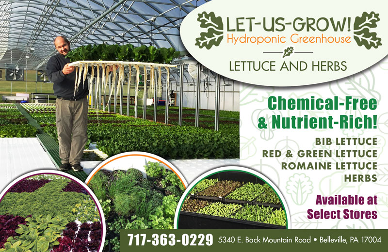 Let-Us-Grow Hydroponic Greenhouse Let-Us-Grow Hydroponic Greenhouse