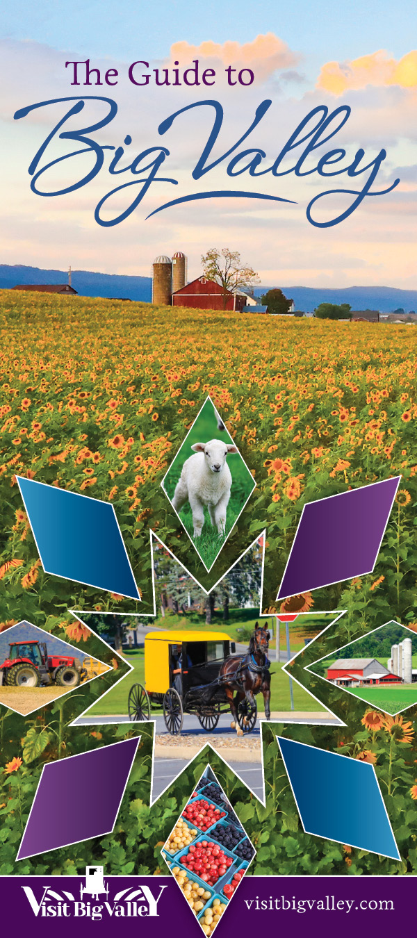 Bedford County Community Profile & Membership Directory