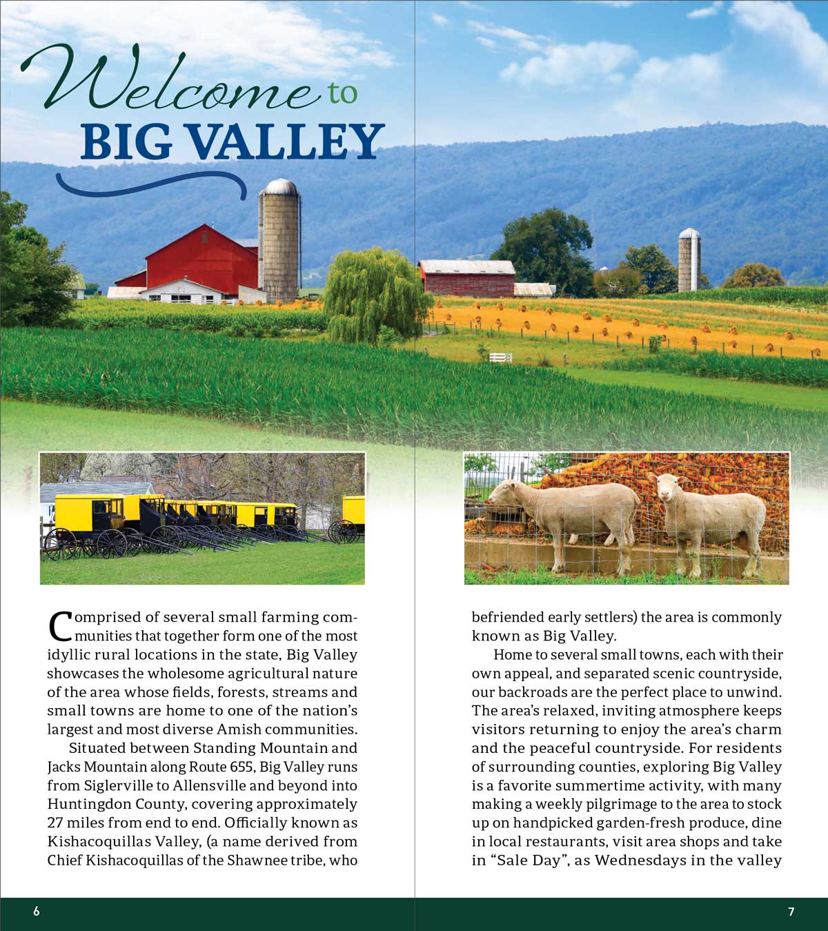 Bedford County Community Profile & Membership Directory  Spread